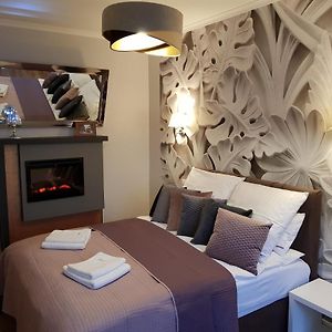 Deluxe Studio met een Queen Size Bed